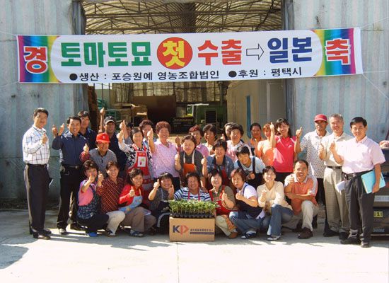 육묘 일본 수출☆