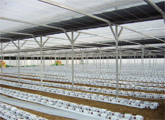 수직영농조합법인 시공사례